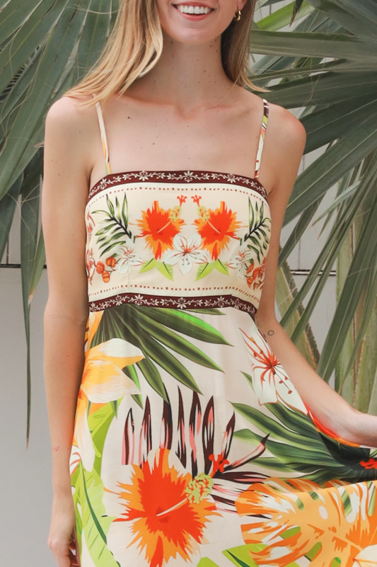 Tiara Brown Slip Maxi Dress by Dreamcatcher